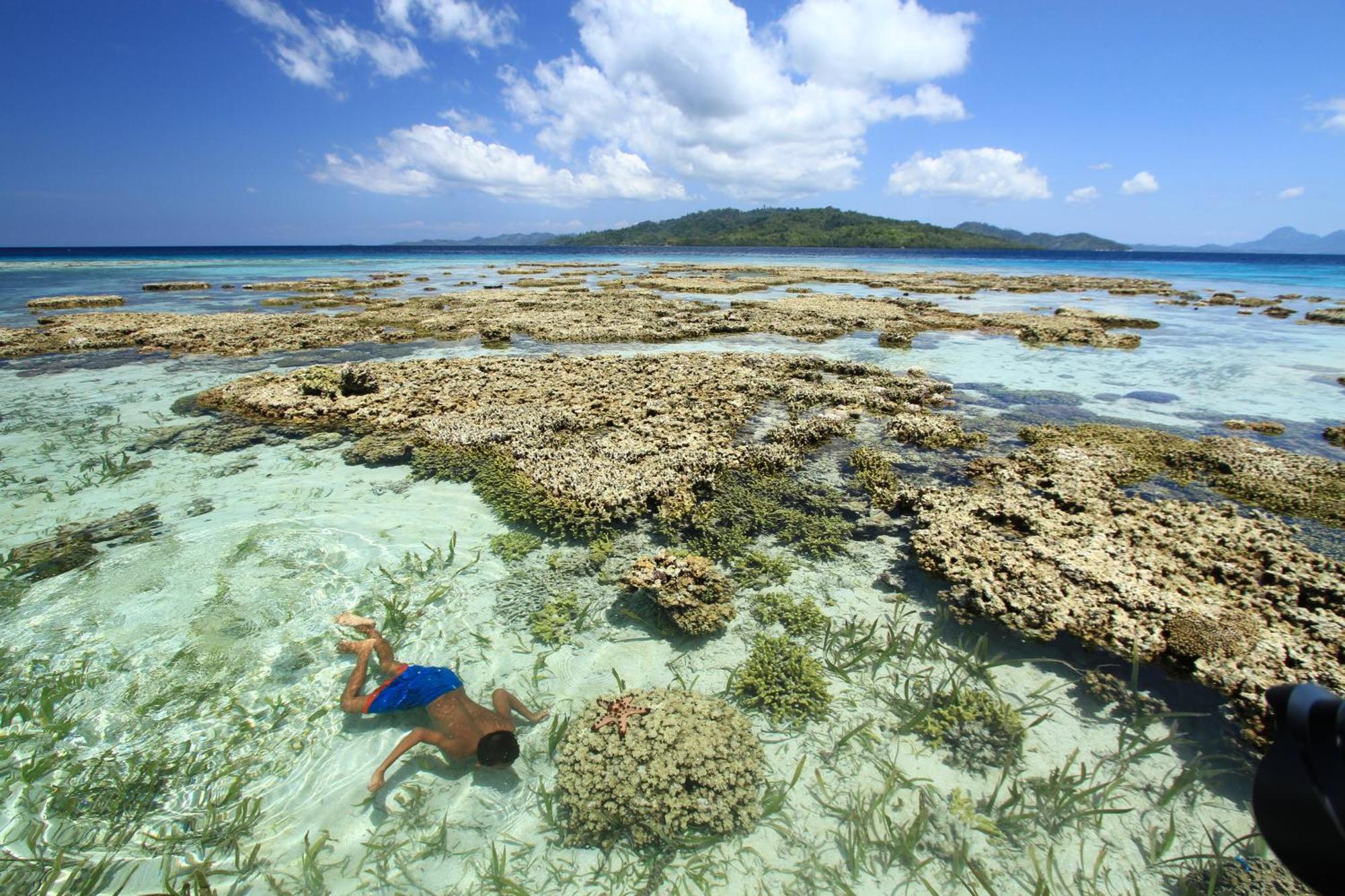 Bolilanga Island Resort - Togean Island Angkayo Extérieur photo